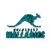 Wallabies Goldcoast